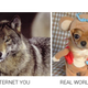 Illustration for article titled Japans Internet You Vs. the Real You Meme